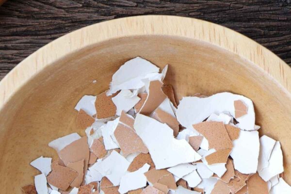 Eierschalen, nicht wegwerfen: In der Küche sind sie Gold wert, wie man sie wiederverwendet