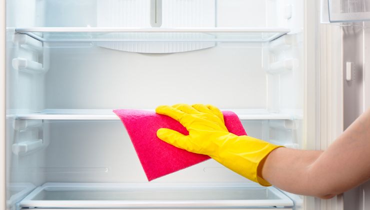 Kühlschrank reinigen