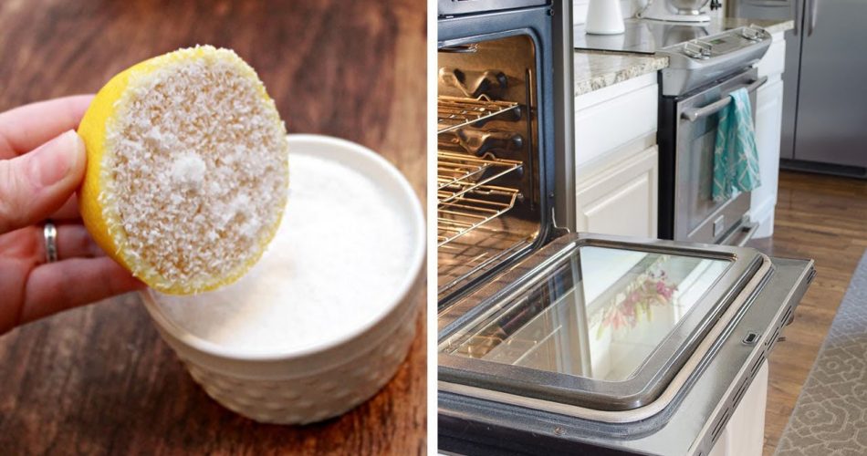 Ein einfacher Trick, damit Ihr Zuhause immer duftet