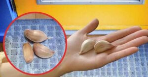 Eine Knoblauchzehe aus einem Glas zu Hause hinstellen?? Es beseitigt ein großes Problem