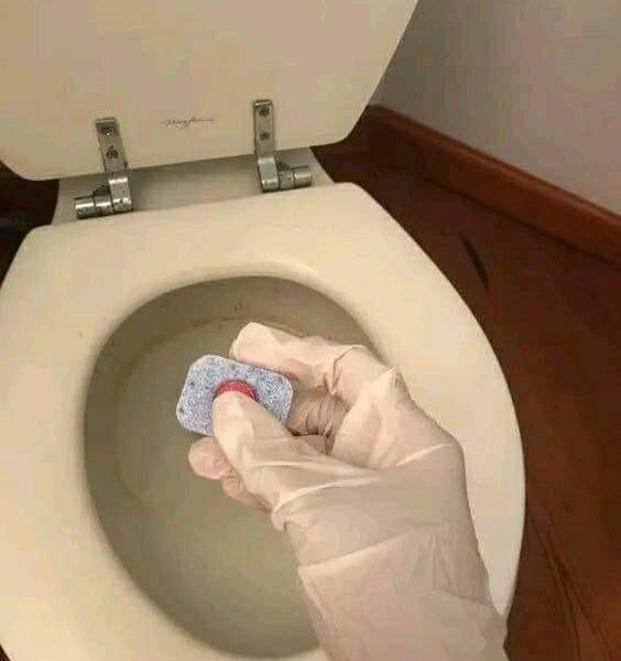 Eine Woche lang eine frische, makellose Toilette – sogar Putzfrauen benutzen sie