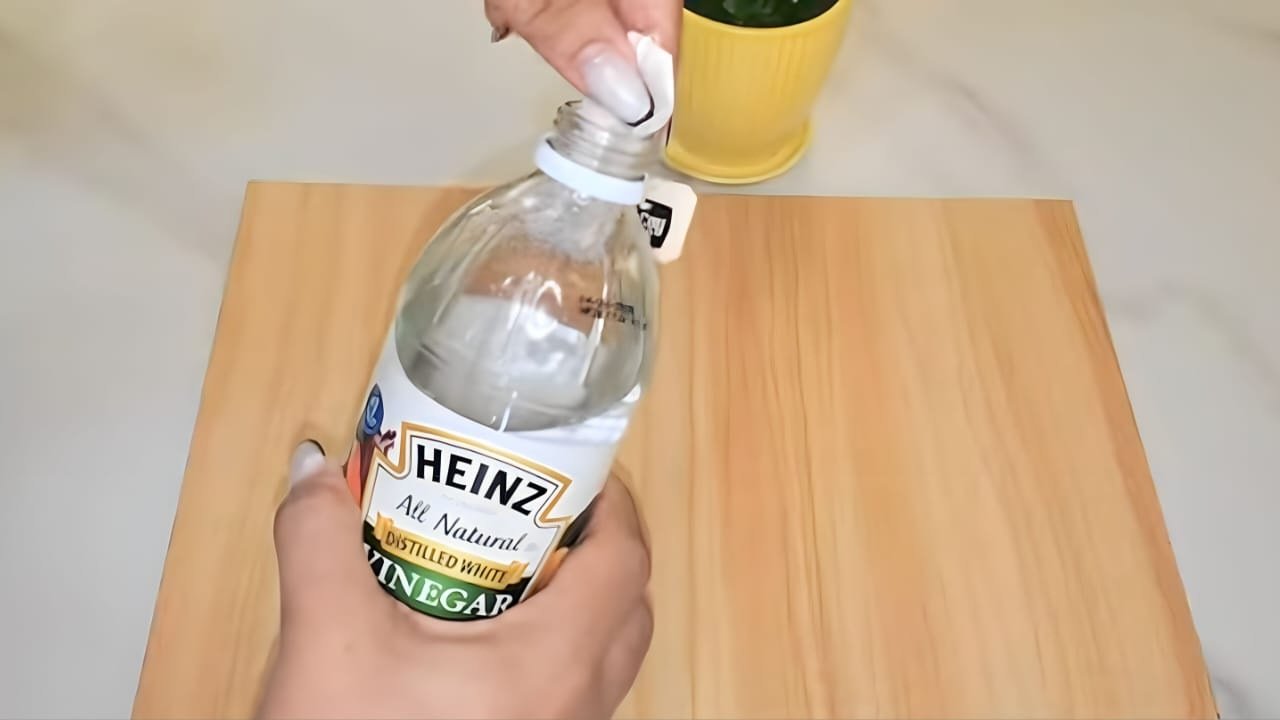 Einen Teebeutel in weißem Essig einweichen: Erstaunlich, was dann passiert