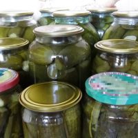 Einfaches und leckeres Rezept für eingelegte Gurken!