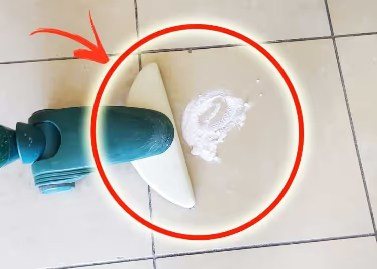 Entdecken Sie 5 + 1 Tipps zum Beduften Ihres Zuhauses mit einem Staubsauger