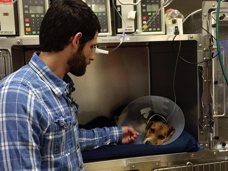 Aaron Schneider und der gerettete Hund