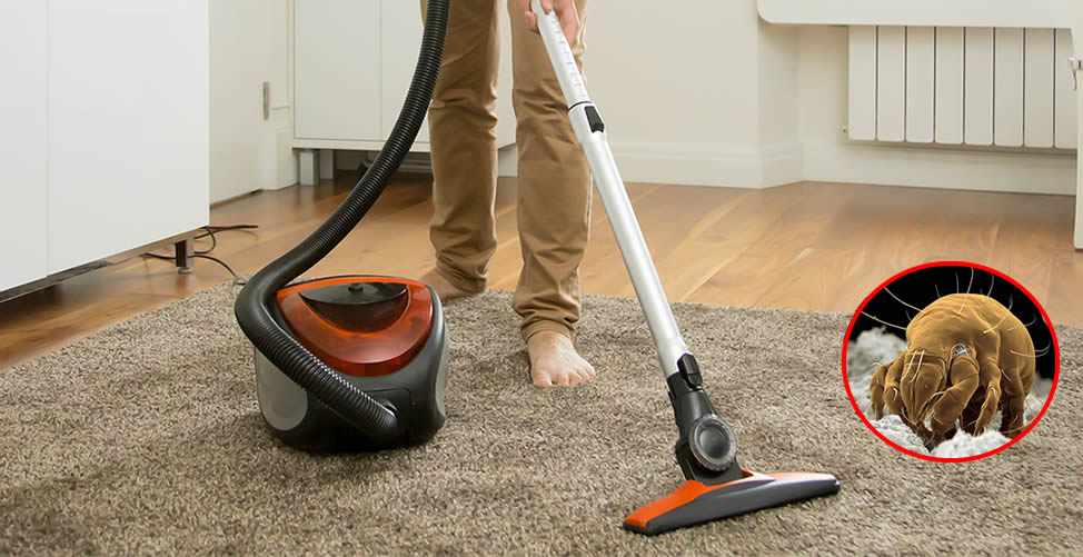 Wie man Staub und Hausstaubmilben loswird 