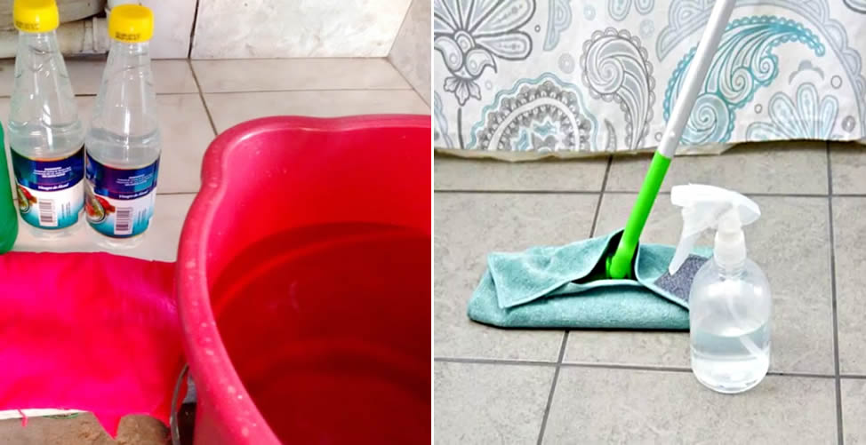 Wie man Staub und Hausstaubmilben loswird 