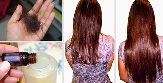 Fügen Sie dieses natürliche Öl Ihrem Shampoo hinzu, damit Ihr Haar innerhalb von 2 Wochen nachwächst