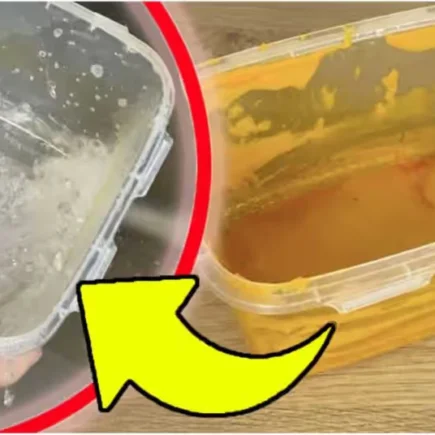 Fleckige und fettige Tupperware: Seife reicht nicht aus | Du brauchst nicht viel!