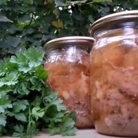 Fleisch im eigenen Saft, zubereitet auf dem Herd. Unglaublich lecker! Es kann lange aufbewahrt werden!