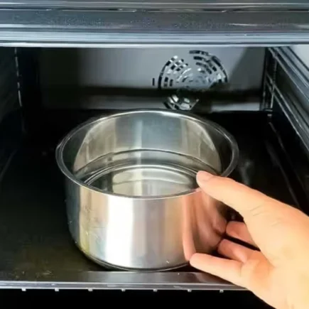 Füllen Sie einen Topf mit Wasser und stellen Sie ihn in den Ofen. Der Schmutz löst sich von den Wänden und vom Grill