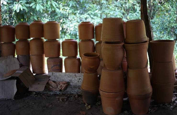 Ihr Topfgarten kann genauso ertragreich sein wie der in der Erde, Sie müssen nur die richtigen Bedürfnisse Ihrer Pflanzen kennen