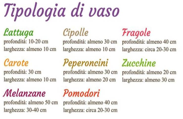 Ihr Topfgarten kann genauso ertragreich sein wie der in der Erde, Sie müssen nur die richtigen Bedürfnisse Ihrer Pflanzen kennen