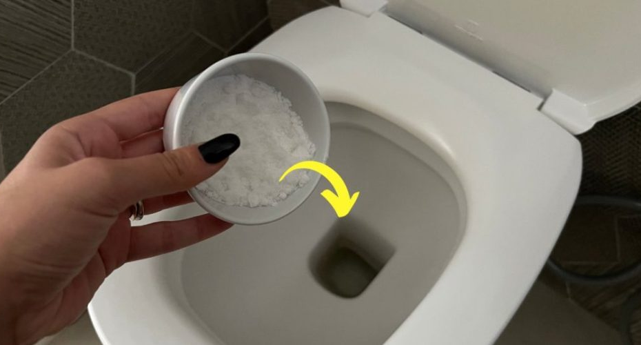 Frisch und sehr duftend, geruchlos, das stärkste Naturheilmittel, das es gibt