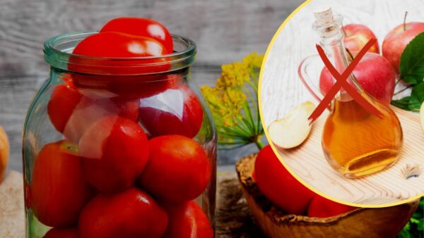 Frische Tomaten für 2 Jahre, kein Essig nötig: die unfehlbare Methode, um sie so lange haltbar zu machen