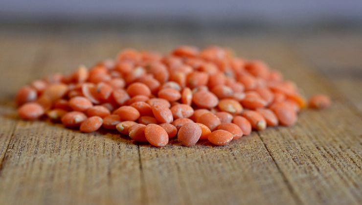 Kraftvolle Zutat Linsen