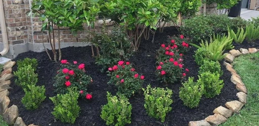 Gartenmeister: So töten Sie Unkraut, ohne Ihren Blumen zu schaden