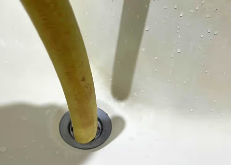 Gartenschlauch: Tipps zum erfolgreichen Befreien einer Toilette oder eines Waschbeckens.