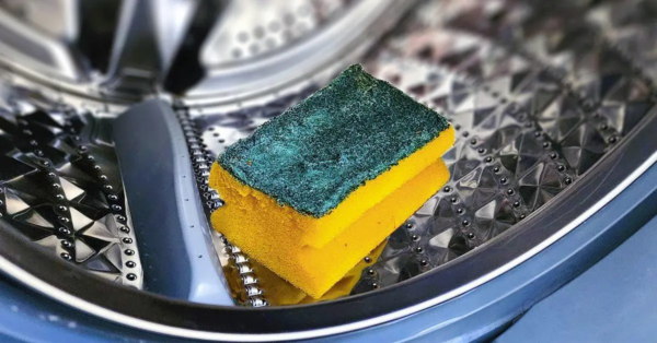 Geben Sie den Spülschwamm in die Waschmaschine: Sie sparen am Monatsende bares Geld