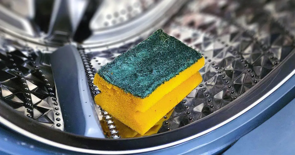 Geben Sie den Spülschwamm in die Waschmaschine: So sparen Sie am Monatsende Geld