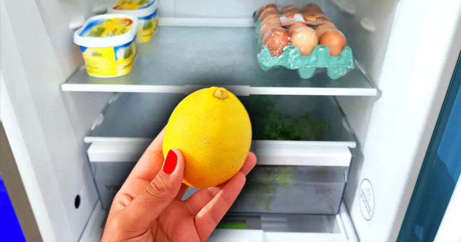 Geben Sie ein paar Tropfen Zitrone auf Ihren Besen: Sie werden dieses Problem für immer beseitigen