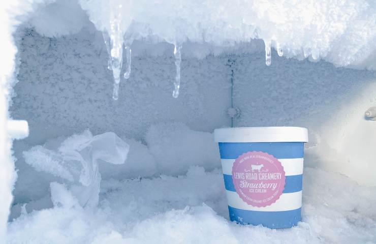 Gefrierschrank, diese Lebensmittel niemals auftauen: