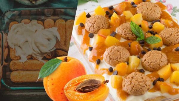 Genug vom üblichen Tiramisu, machen Sie es dieses Mal mit Aprikosen: Sie werden von allen begeistert sein