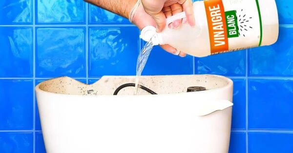Gießen Sie Essig in den Toilettenspülkasten und Sie werden es nicht bereuen. Sie sparen Zeit und Geld