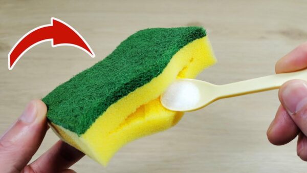 Gießen Sie das Salz in einen Spülschwamm, was Sie als nächstes bemerken, wird Sie schockieren