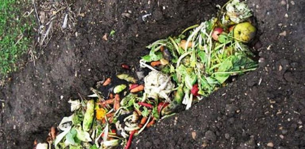 Grabenkompostierung: Eine einfache Anleitung zur Anreicherung Ihres Gartenbodens