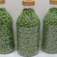 Grüne Erbsen in Plastikflaschen einfrieren!