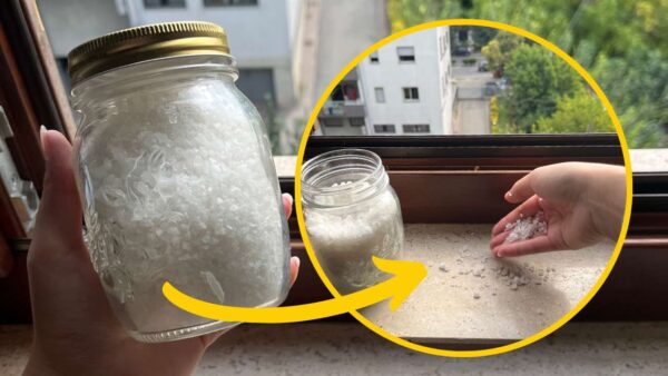 Grobes Salz, weil es jeder auf den Fensterbänken streut: Damit wird ein häufiges Problem gelöst