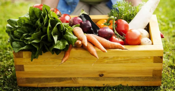 Gärtner-Mondkalender für den Zeitraum vom 18. bis 24. April: Was pflanzen und wann?