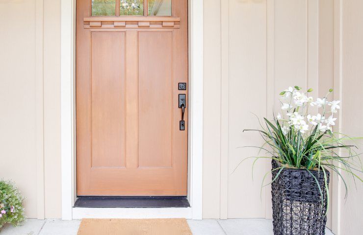 Verwenden Sie schwarzen Pfeffer, um Ameisen fernzuhalten