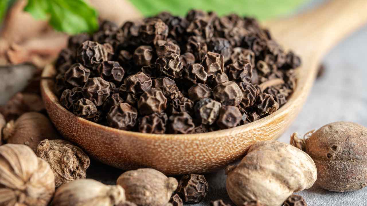 Gegen Ameisen verwenden Sie schwarzen Pfeffer