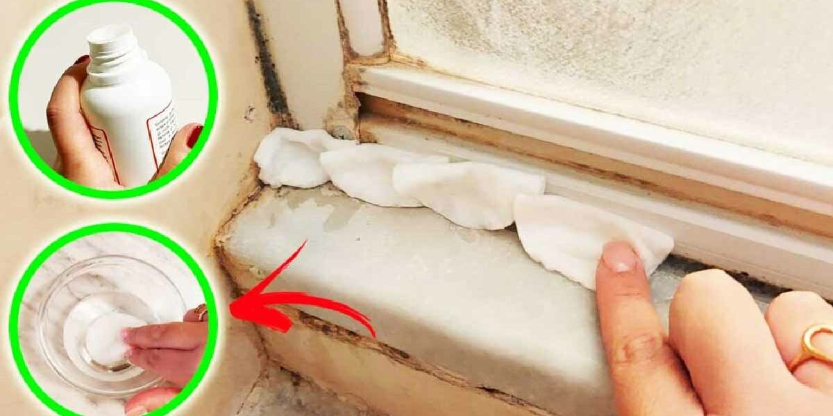 Haben Sie schon einmal den Wattebausch-Trick ausprobiert, um den gesamten Schimmel in der Dusche zu entfernen? Ist unglaublich.