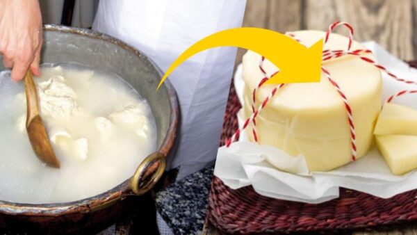 Hausgemachter Käse, besser als der von Heidi: viel Geschmack und viel Gesundheit | Sie machen es mit 4 Zutaten