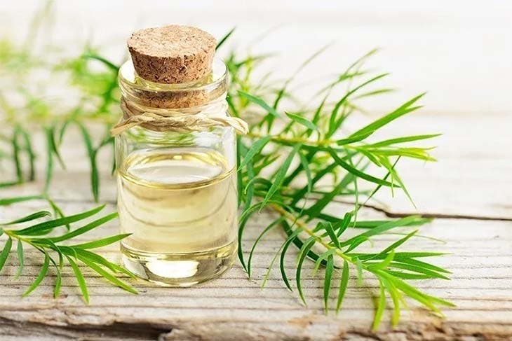 Recette de Nettoyant WC au vinaigre faite maison. Eine wirksame Alternative zu Marktprodukten 4 Huile-Baum mit Teeküvette