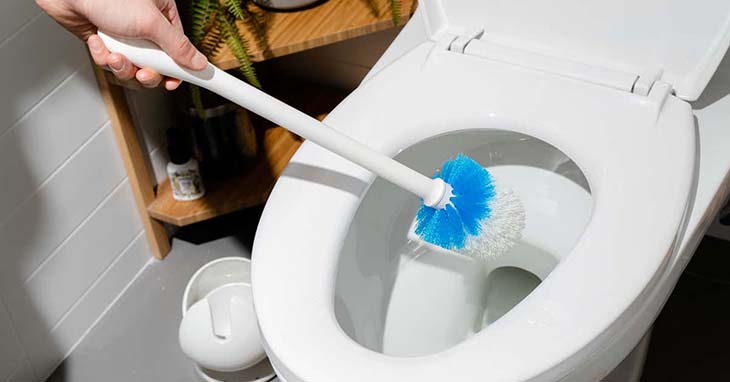 Hausgemachtes Rezept für Toilettenreiniger mit Essig. Eine wirksame Alternative zu handelsüblichen Reinigungsmitteln 2 Toilettenreinigung