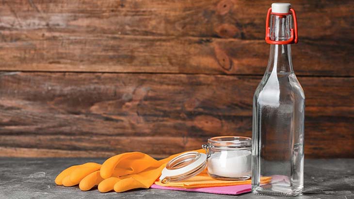 Hausgemachtes Rezept für Toilettenreiniger mit Essig. Eine wirksame Alternative zu handelsüblichen Reinigungsmitteln 3 Essig zum Reinigen der Toilette