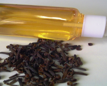 Hausgemachtes, sparsames und wirksames Repellent mit drei Inhaltsstoffen