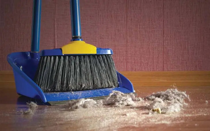 Hausstaubmilben im Haus? 12 effektive Tipps vom Experten, um sie loszuwerden