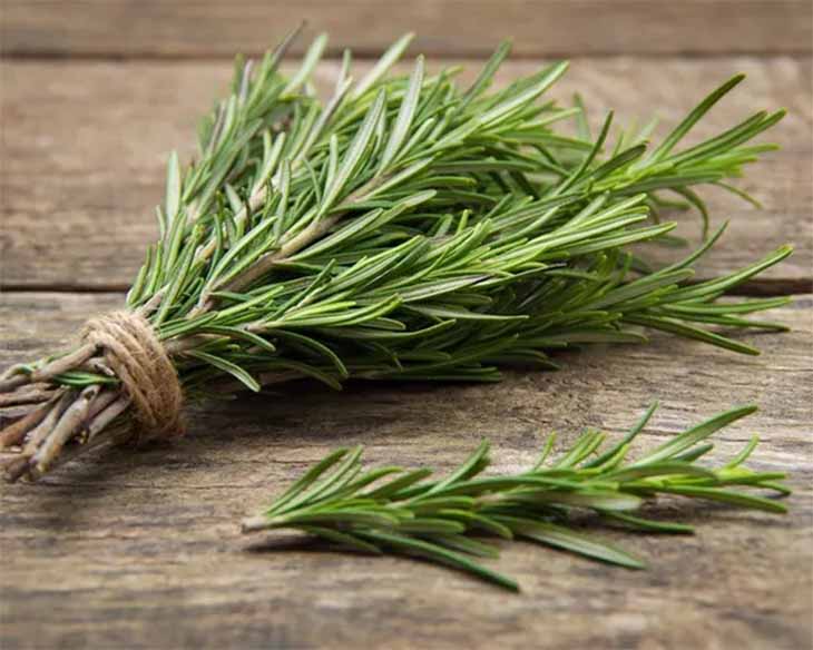 Rosmarinzweige