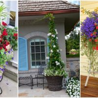 Hängender Garten oder Topfgarten: tolle Ideen für Ihren Garten!