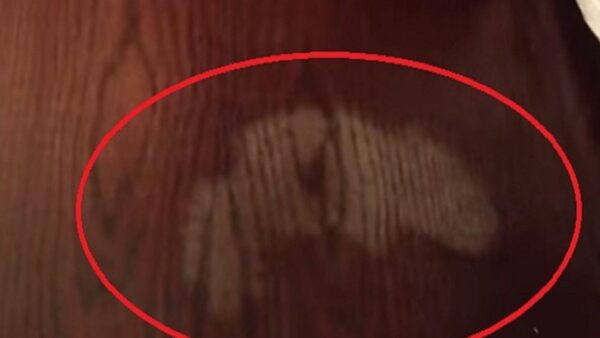 Holzflecken: 3 geheime und superwirksame Inhaltsstoffe, um sie dauerhaft zu entfernen