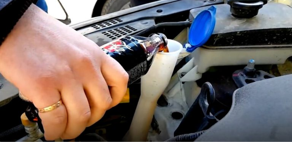 Ich fülle jedes Jahr Cola in den Waschbehälter. Mit einem solchen Effekt habe ich nicht einmal gerechnet, ich kann es jedem empfehlen