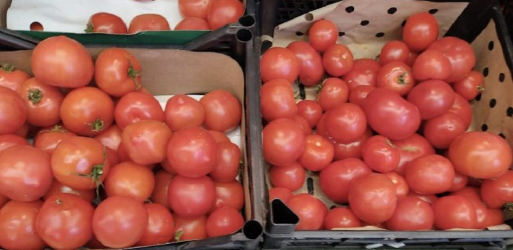Ich kaufte Tomaten auf dem Markt, schnitt sie in Scheiben und pflanzte sie ein. Ich zeige dir, was mit ihnen passiert ist