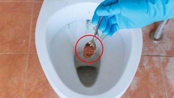 Kaffeesatz in der Toilette, sofortige Ergebnisse, wenn Sie es versuchen: Was passiert?