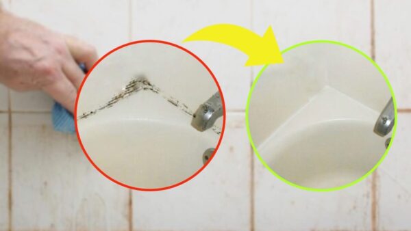 Kalk in der Dusche, aber welche Zitronensäure: Nur mit diesem Inhaltsstoff werden Sie ihn los