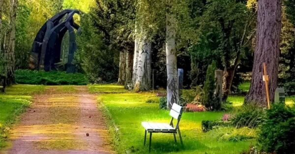 Kannst du den auf diesem Bild versteckten Wolf finden: Was macht der Wolf hier? Können Sie es sehen?